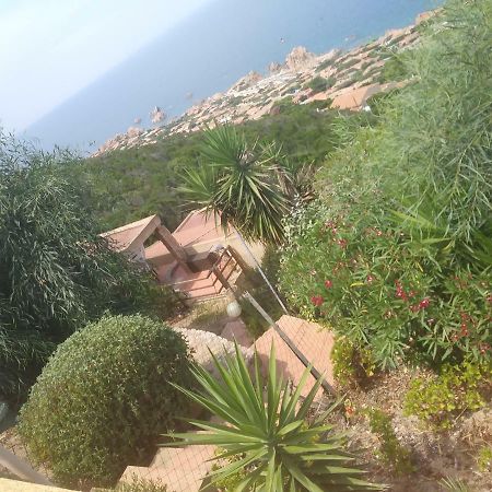 Appartamento Le Pleiadi Costa Paradiso Εξωτερικό φωτογραφία