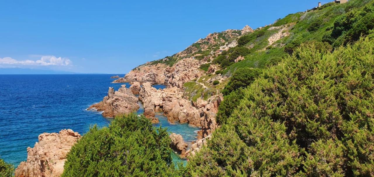 Appartamento Le Pleiadi Costa Paradiso Εξωτερικό φωτογραφία
